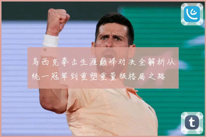 乌西克拳击生涯巅峰对决全解析从统一冠军到重塑重量级格局之路